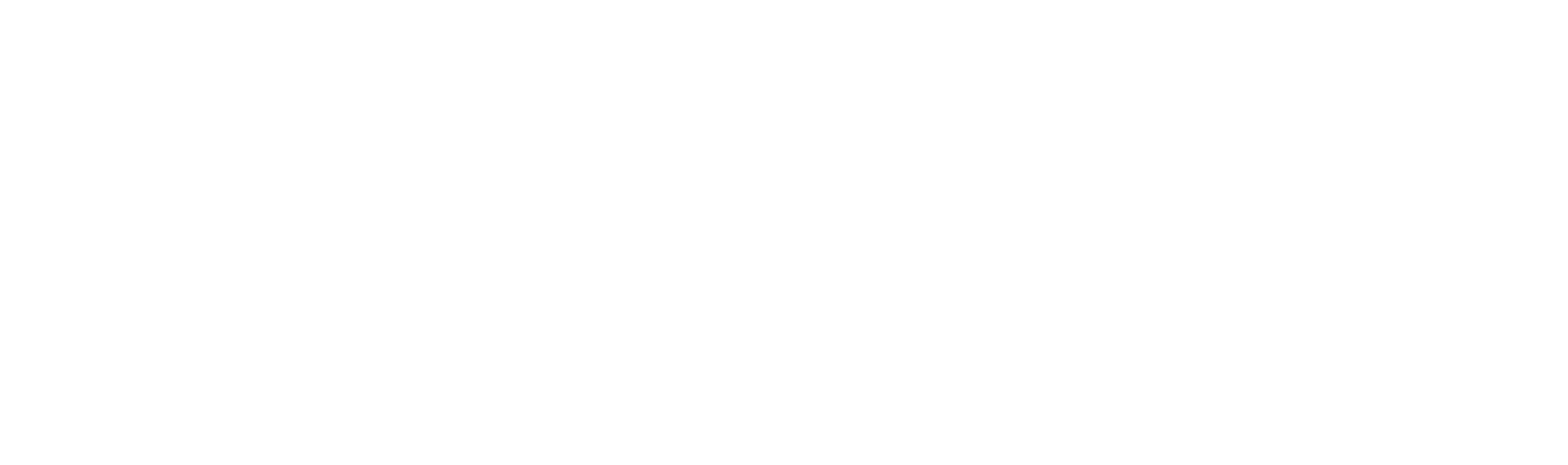 Neural Capital